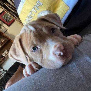 Meet your Posher, Terri lorraine